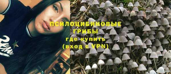 стафф Майский