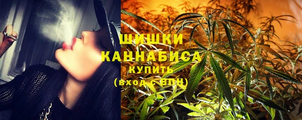 стафф Майский