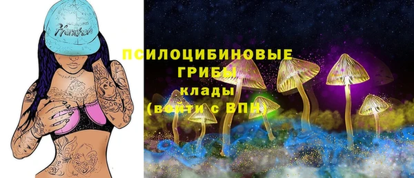 стафф Майский