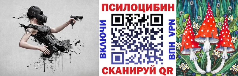 Купить где  Шлиссельбург  Галлюциногенные грибы ЛСД 